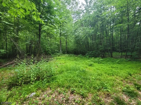 a view of outdoor space and garden view