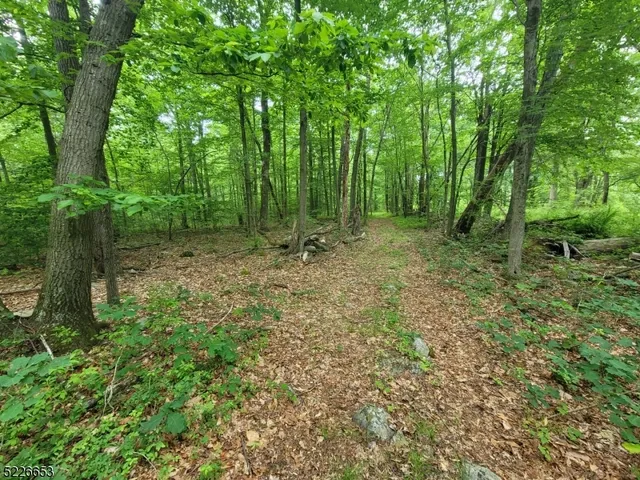 a view of outdoor space and green space