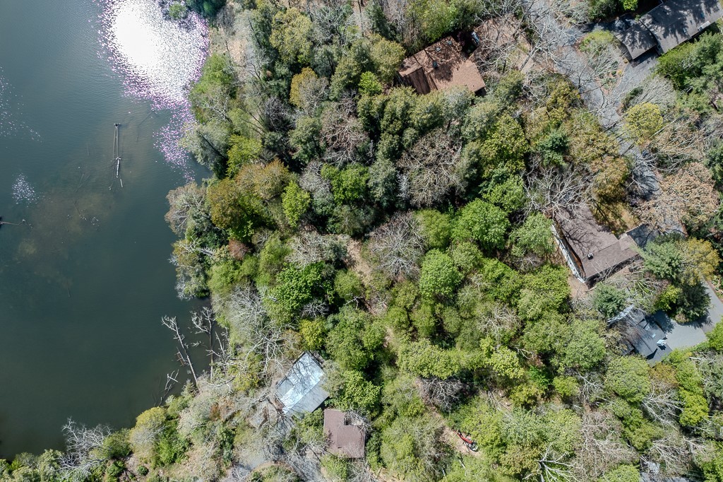 97 Lakeview Road Newland, NC 28657 - Photo 46 of 49