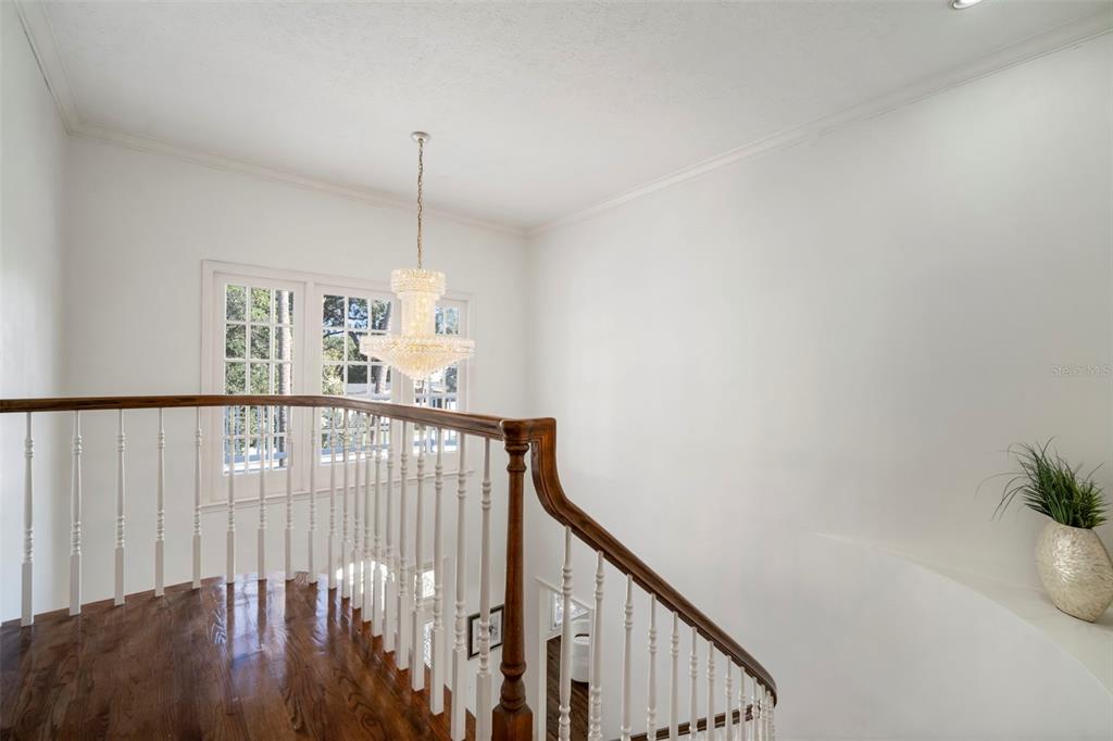 4318 West Azeele Street Tampa, FL 33609 - Photo 35 of 56