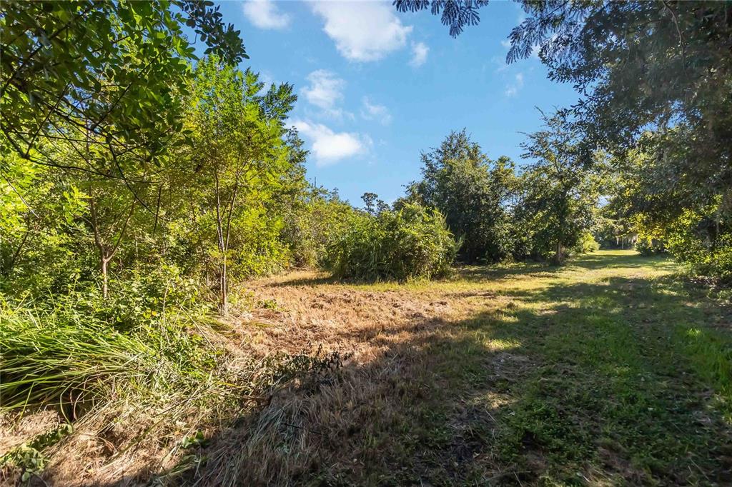 0 Edsel Avenue St. Cloud, FL 34772 - Photo 11 of 38 a view of outdoor space and yard
