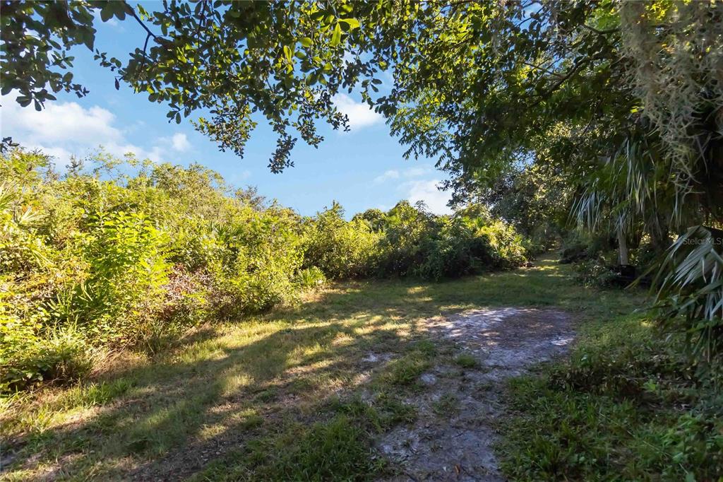0 Edsel Avenue St. Cloud, FL 34772 - Photo 16 of 38 a view of a yard