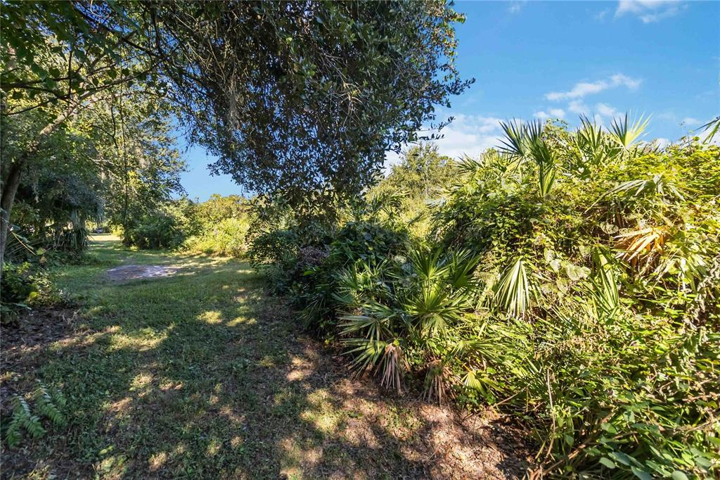 0 Edsel Avenue St. Cloud, FL 34772 - Photo 19 of 38 a backyard of a house with lots of green space
