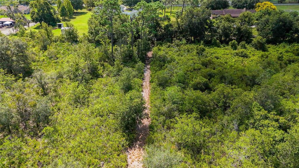 0 Edsel Avenue St. Cloud, FL 34772 - Photo 26 of 38 a view of a forest with a tree