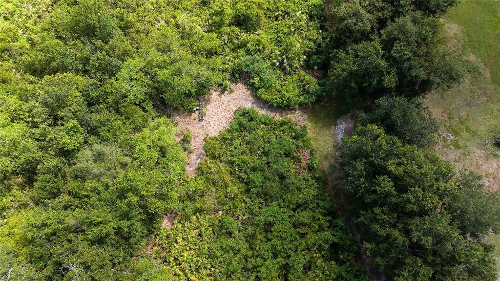 0 Edsel Avenue St. Cloud, FL 34772 - Photo 27 of 38 a view of a forest with a tree