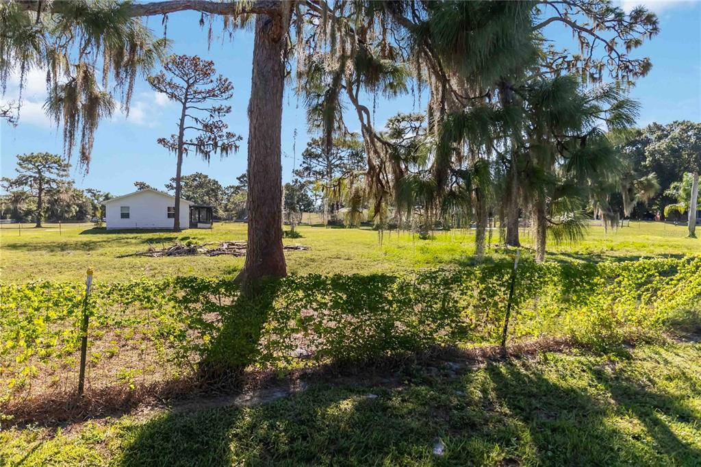0 Edsel Avenue St. Cloud, FL 34772 - Photo 32 of 38 a view of a yard with an ocean view
