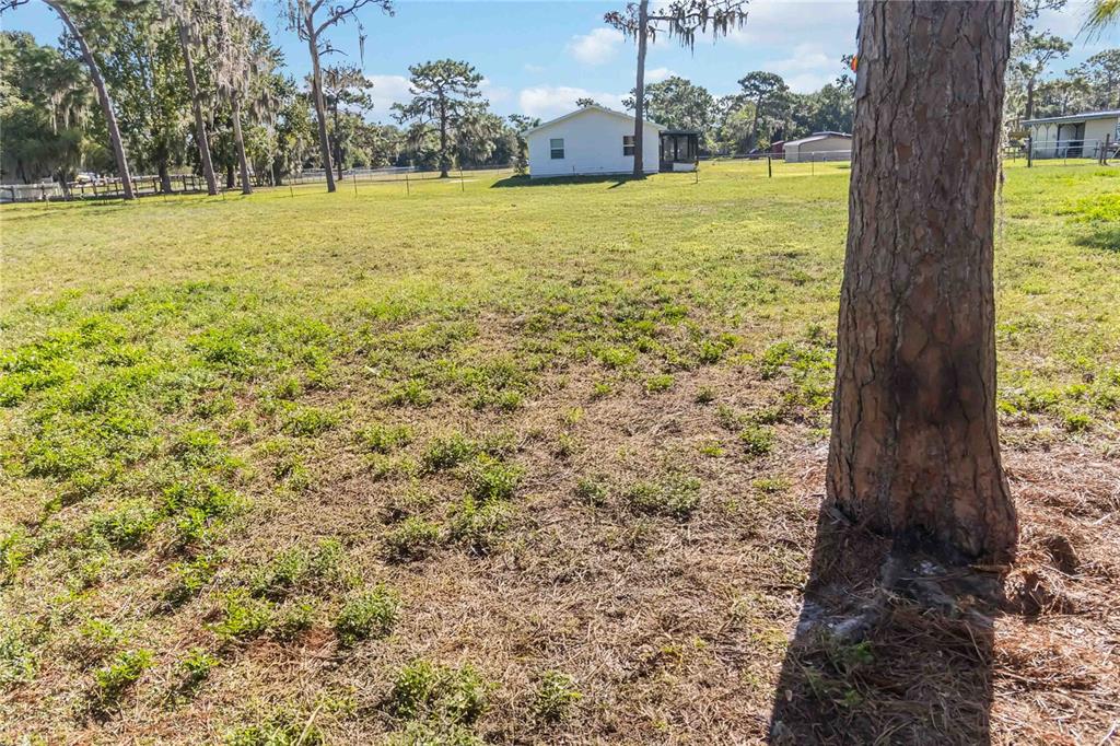 0 Edsel Avenue St. Cloud, FL 34772 - Photo 34 of 38 a view of a yard with a house