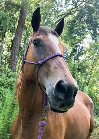 $375,000 | 0 Edsel Avenue, St. Cloud, FL 34772