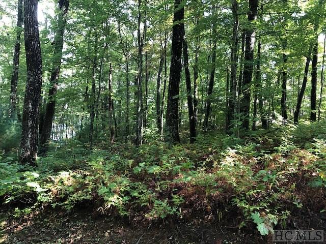 Lot 14 High Cliffs Road Cashiers, NC 28717 - Photo 4 of 5 Gallery Image 4