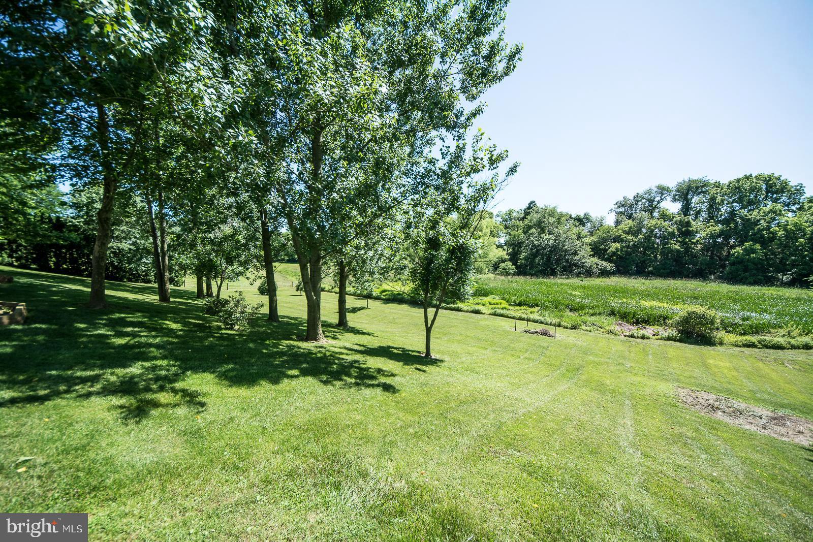 156 Barkley Road Atglen, PA 19310 - Photo 10 of 27 Left side-yard