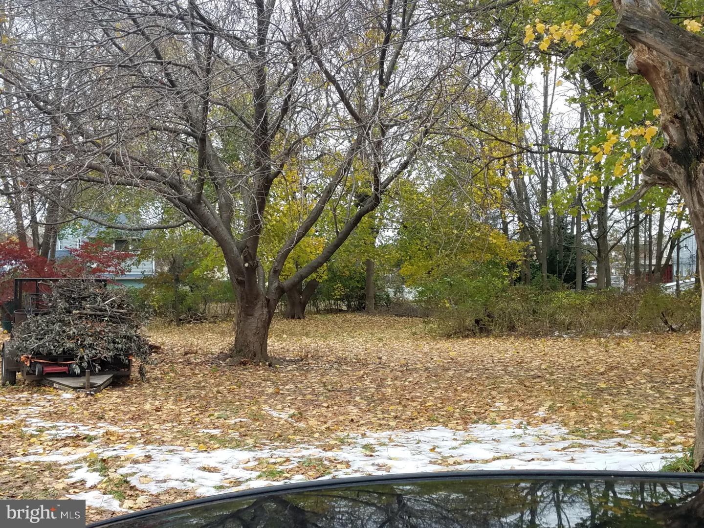 12965 Townsend Road Philadelphia, PA 19154 - Photo 6 of 10 a view of a yard with a tree