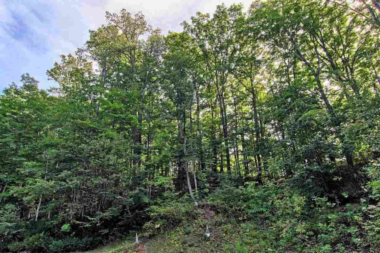 11605 Cedar Run Road Traverse City, MI 49684 - Photo 4 of 37 1807305-3.JPG