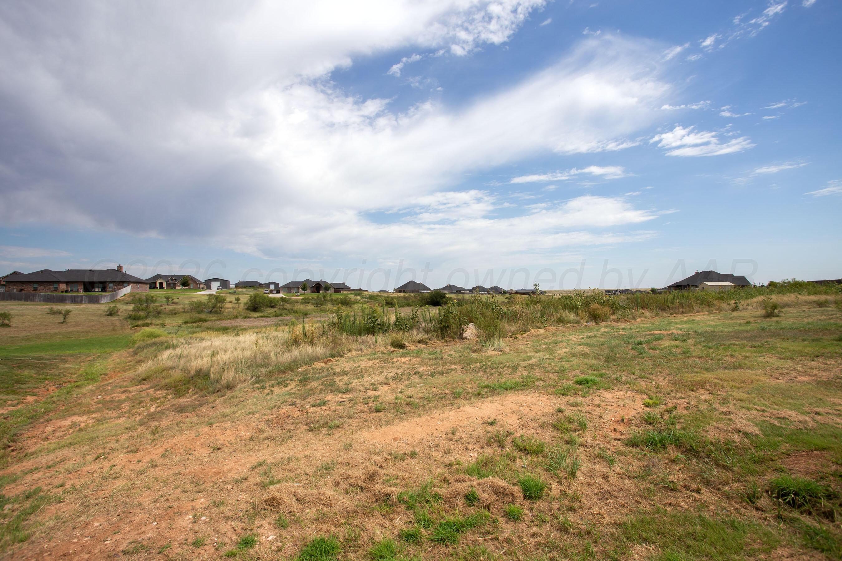 0 Brindle Amarillo, TX 79124 - Photo 11 of 13 12