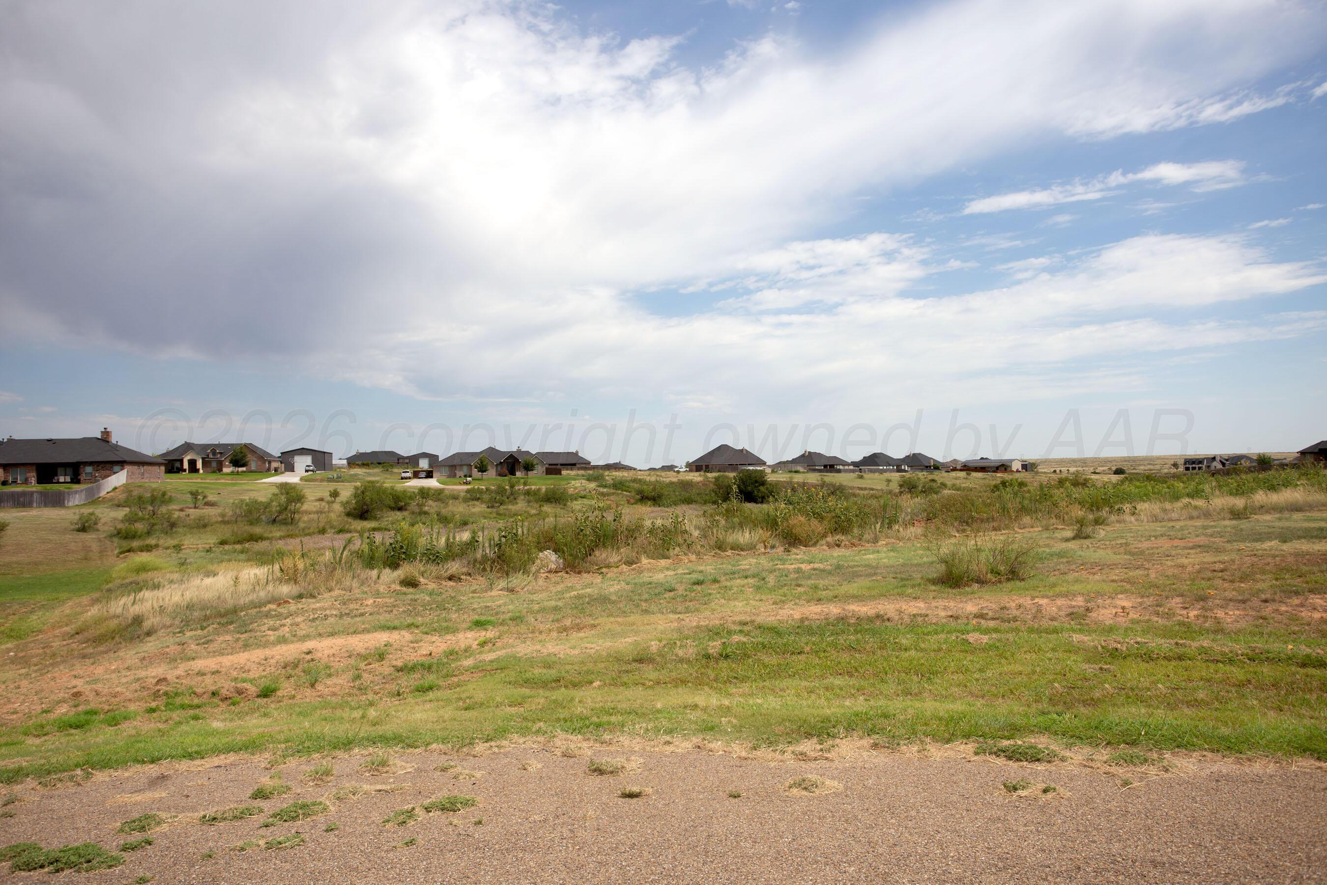 0 Brindle Amarillo, TX 79124 - Photo 12 of 13 13