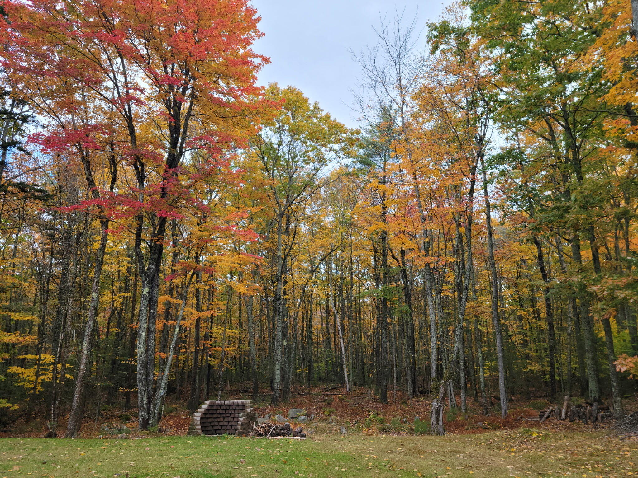 817 Millvale Road Bucksport, ME 04416 - Photo 46 of 47 20260324_172008250_iOS