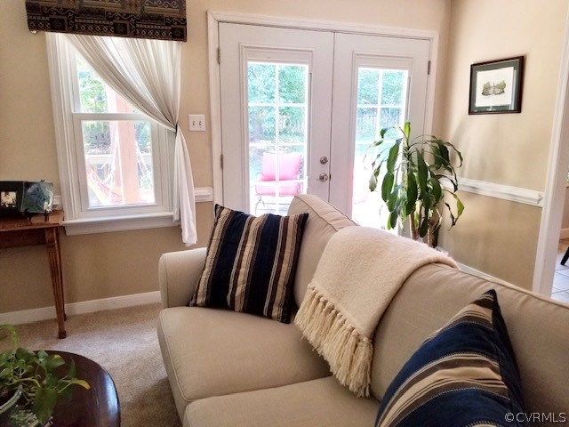 4705 Cedar Cliff Road Chester, VA 23831 - Photo 8 of 30 a living room with a couch and potted plant