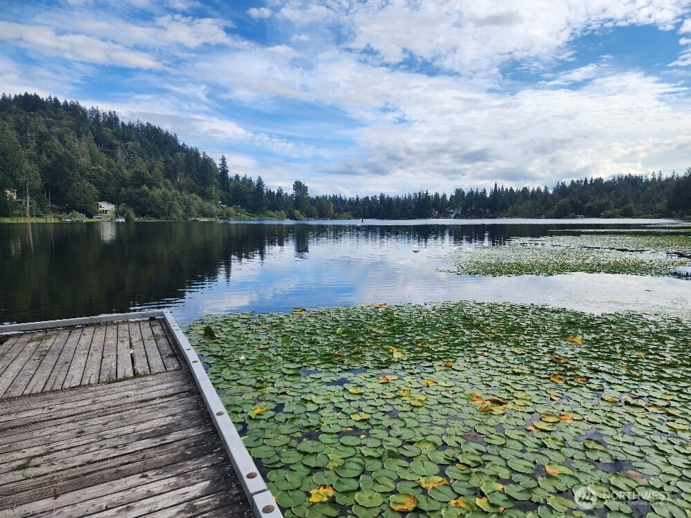 16200 Parkside Way Southeast Renton, WA 98058 - Photo 39 of 40 a view of a lake