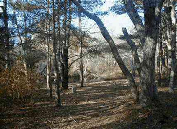 20 Longview Road West Tisbury, MA 02568 - Photo 2 of 2 http://d1qzqeyxiitrap.cloudfront.net/photos/10003/600/5c83e0fe.jpg
