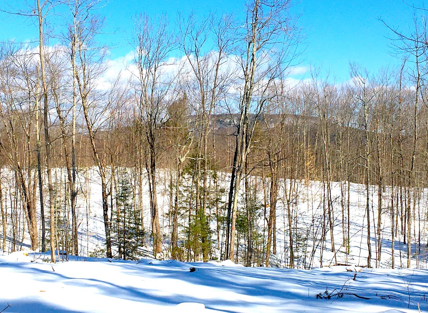 0 Stevens Corner Road West Newfield, ME 04095 - Photo 2 of 3 0 Stevens view