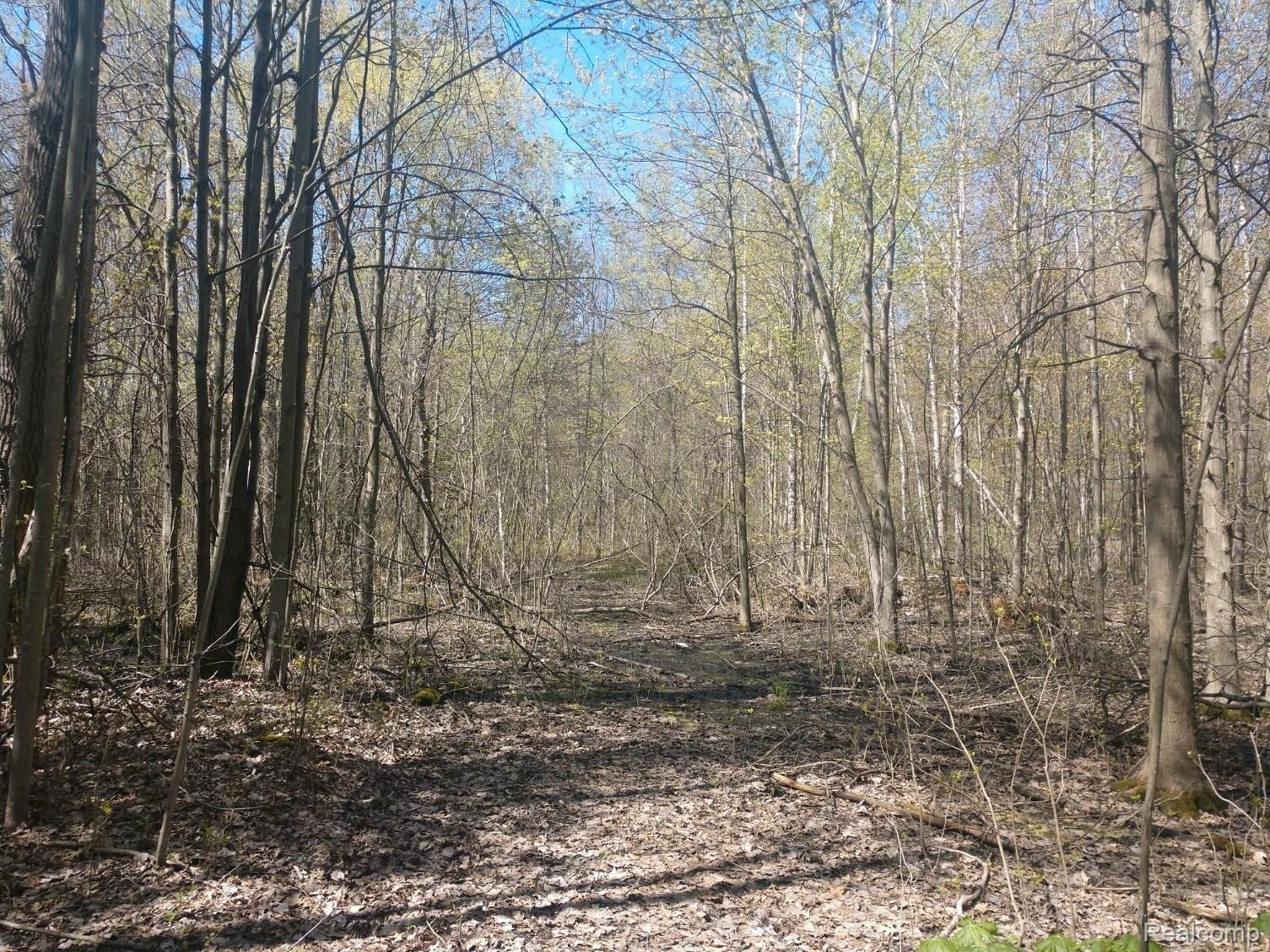 1 Sibley Road Romulus, MI 48174 - Photo 1 of 5 Sibley #008 (W) photo 3.JPG