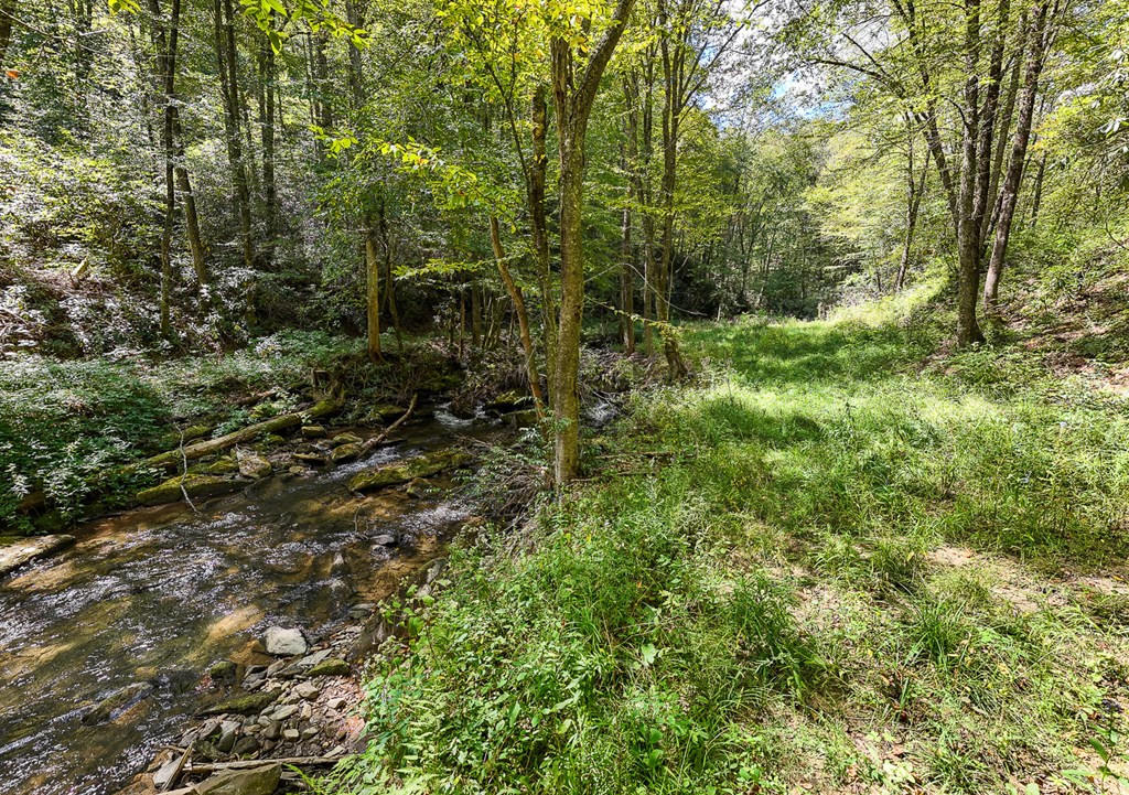 9765 Little Snowbird Road Robbinsville, NC 28771 - Photo 7 of 34