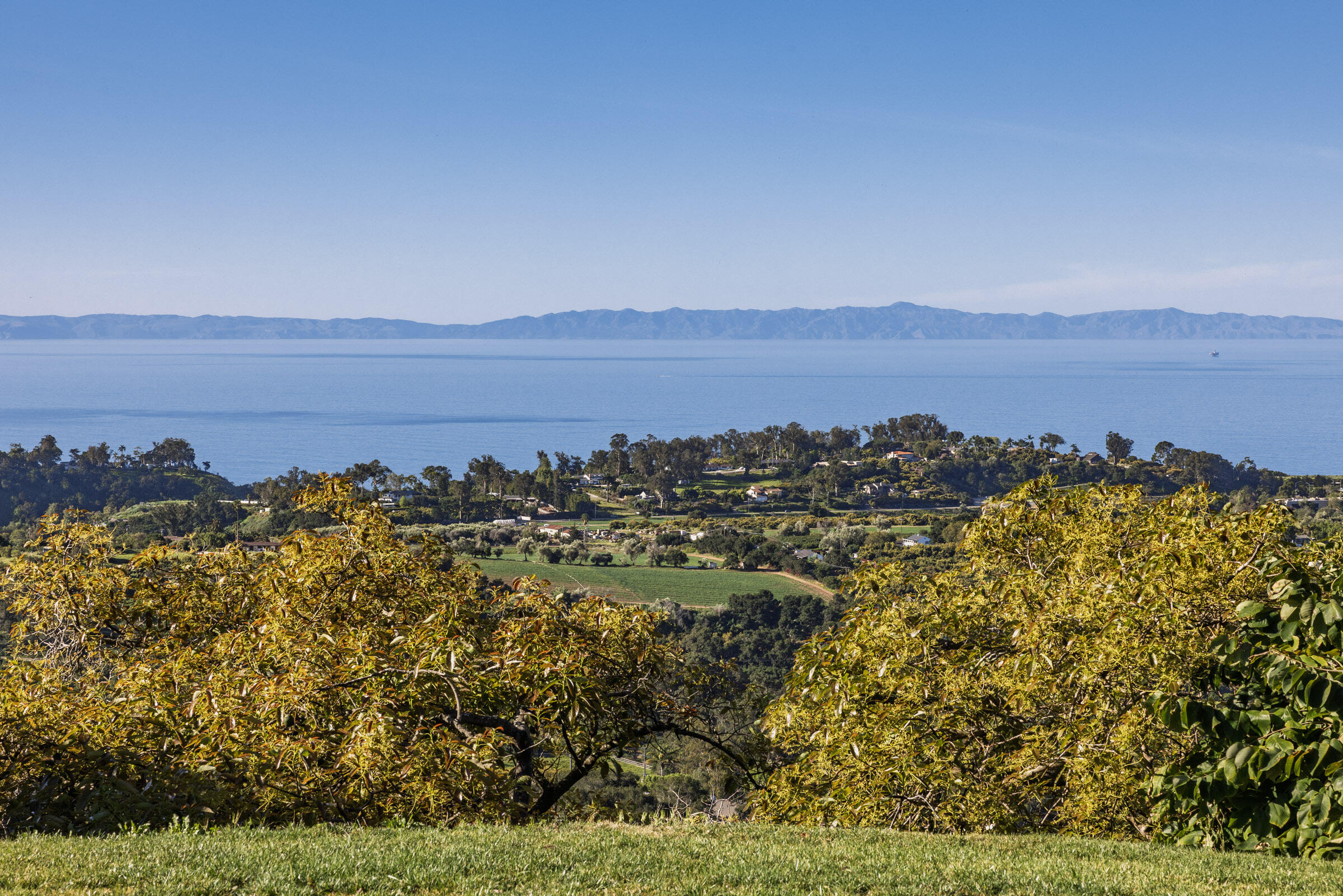 7401 Shepard Mesa Road Carpinteria, CA 93013 - Photo 4 of 29 Ocean, Island & Orchard Views