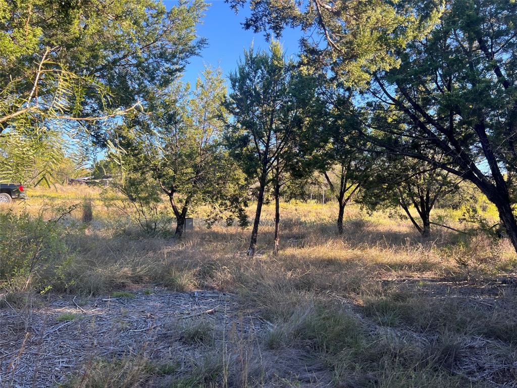 1000 Carsyn Creek Road Weatherford, TX 76087 - Photo 4 of 5 a view of dirt yard with a tree