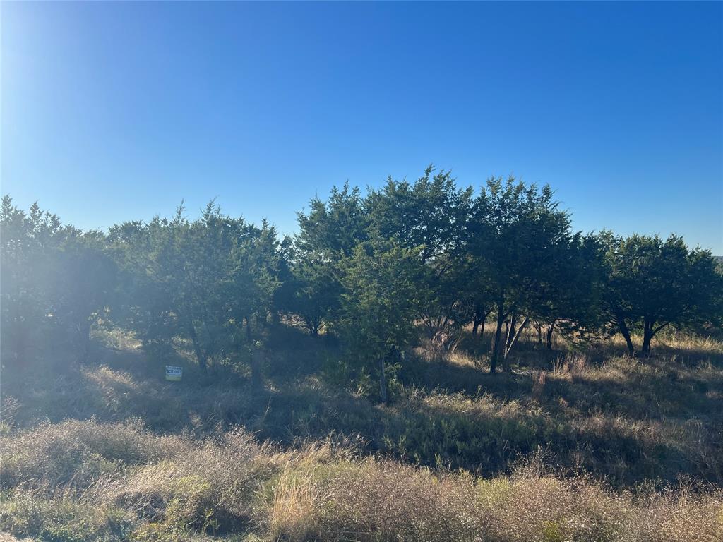 1000 Carsyn Creek Road Weatherford, TX 76087 - Photo 5 of 5 a view of a yard