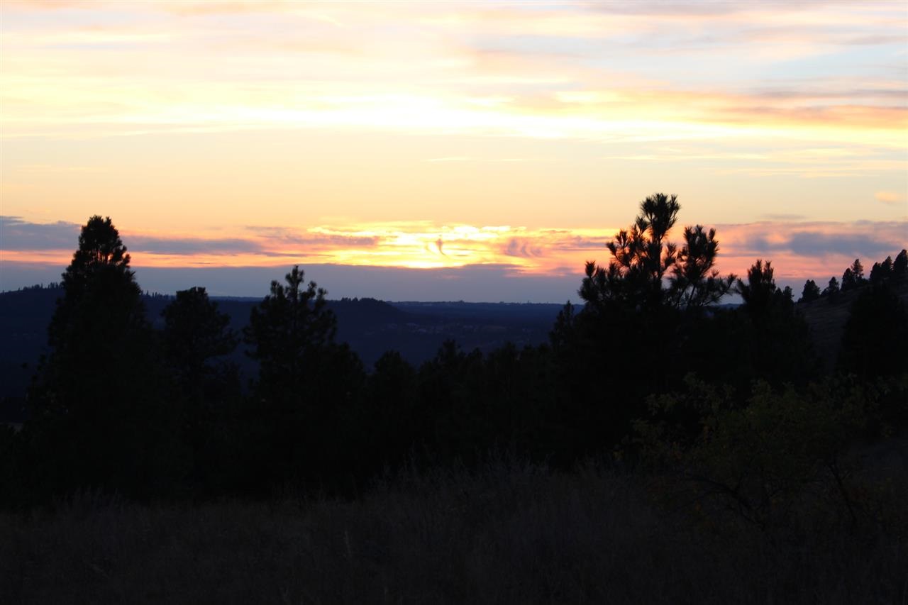 7300 East Big Rock Road Spokane, WA 99223 - Photo 1 of 5 Gallery Image 1