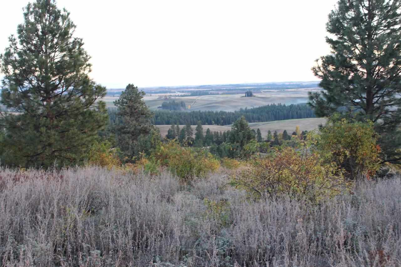 7300 East Big Rock Road Spokane, WA 99223 - Photo 2 of 5 Gallery Image 2