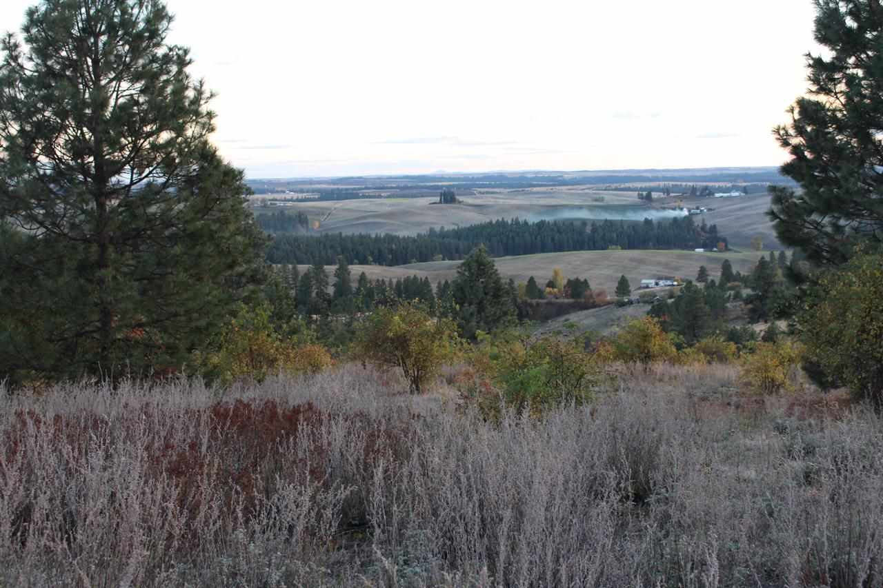 7300 East Big Rock Road Spokane, WA 99223 - Photo 3 of 5 Gallery Image 3