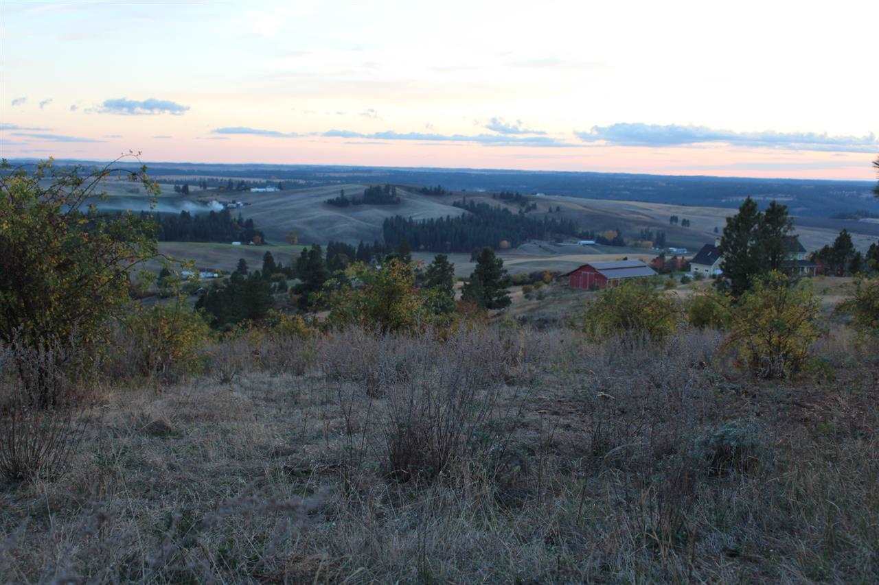 7300 East Big Rock Road Spokane, WA 99223 - Photo 4 of 5 Gallery Image 4