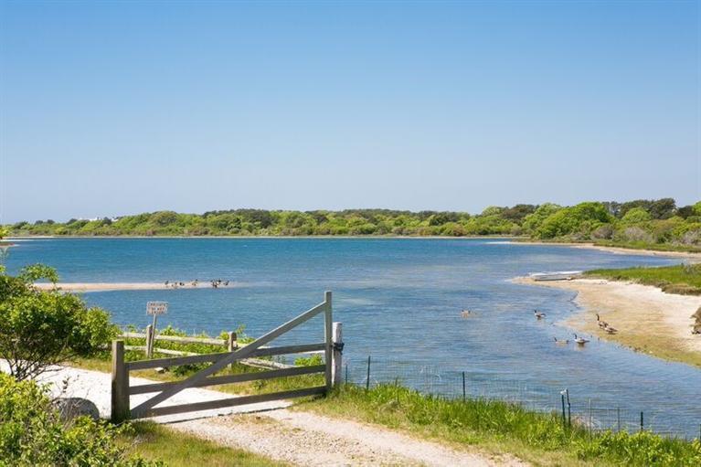 60 Slough Cove Road Edgartown, MA 02539 - Photo 3 of 17 Additional Photo