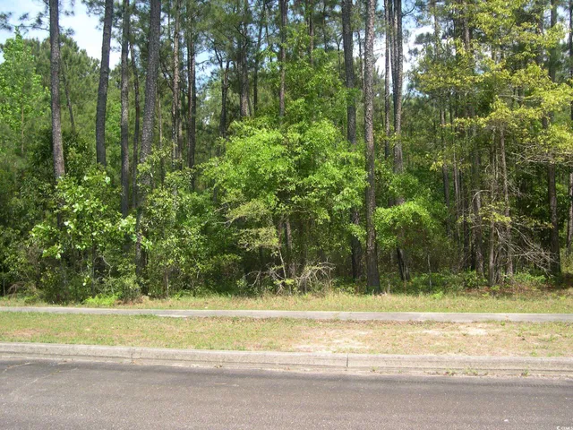 $95,000 | 103 Pineberry Drive, Georgetown, SC 29440