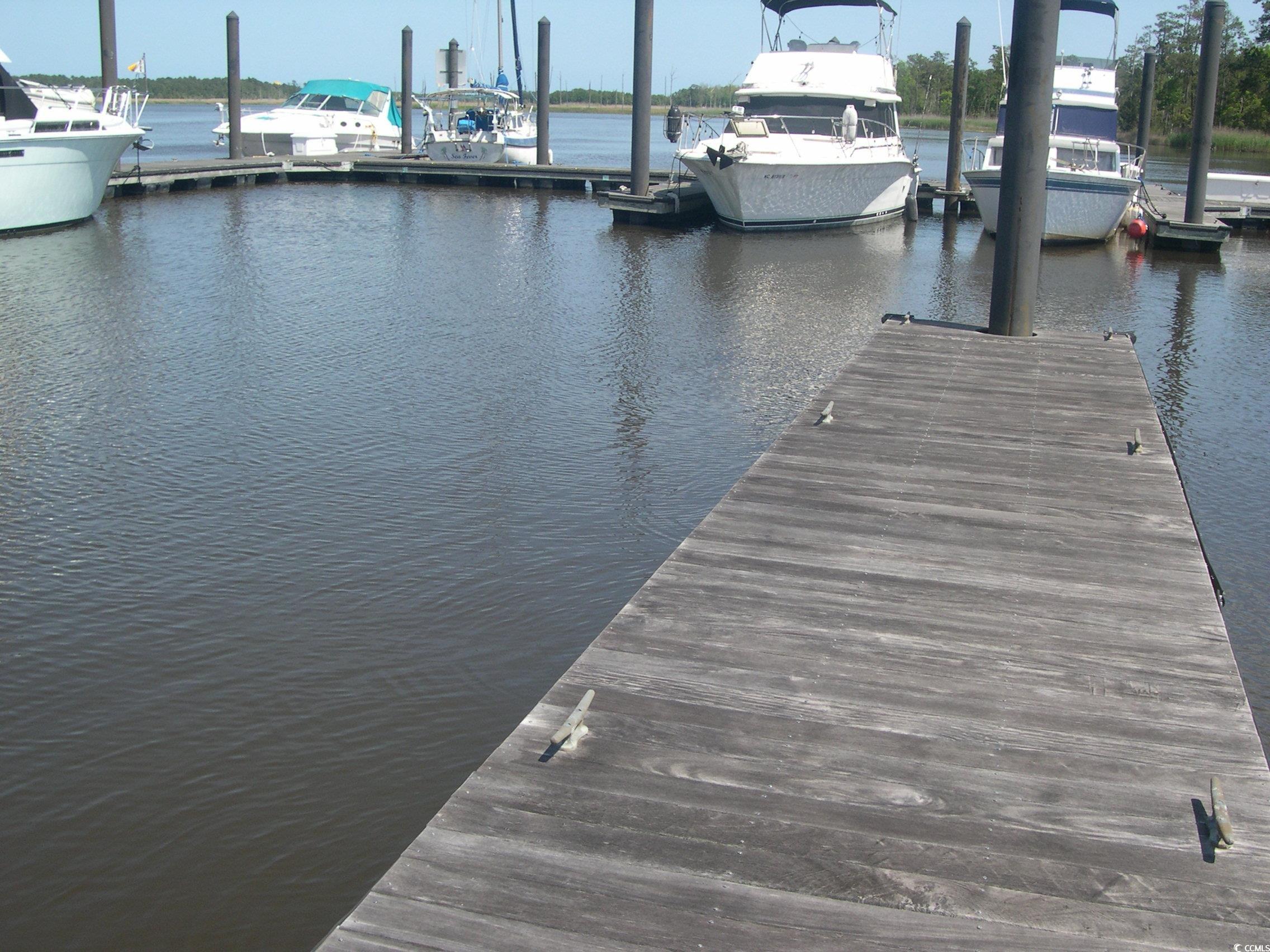 103 Pineberry Drive Georgetown, SC 29440 - Photo 12 of 21 View of dock with a water view