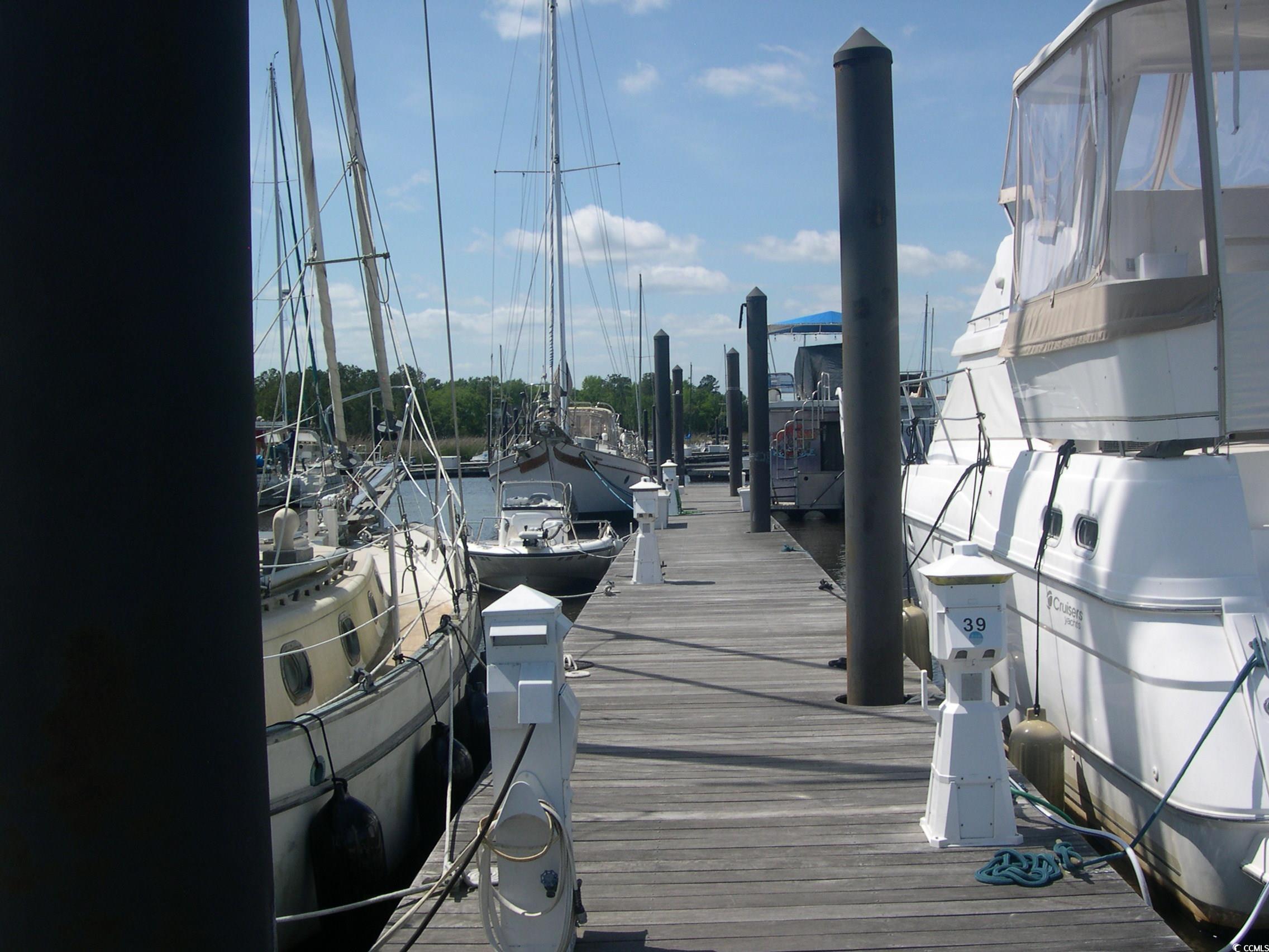 103 Pineberry Drive Georgetown, SC 29440 - Photo 18 of 21 View of dock area