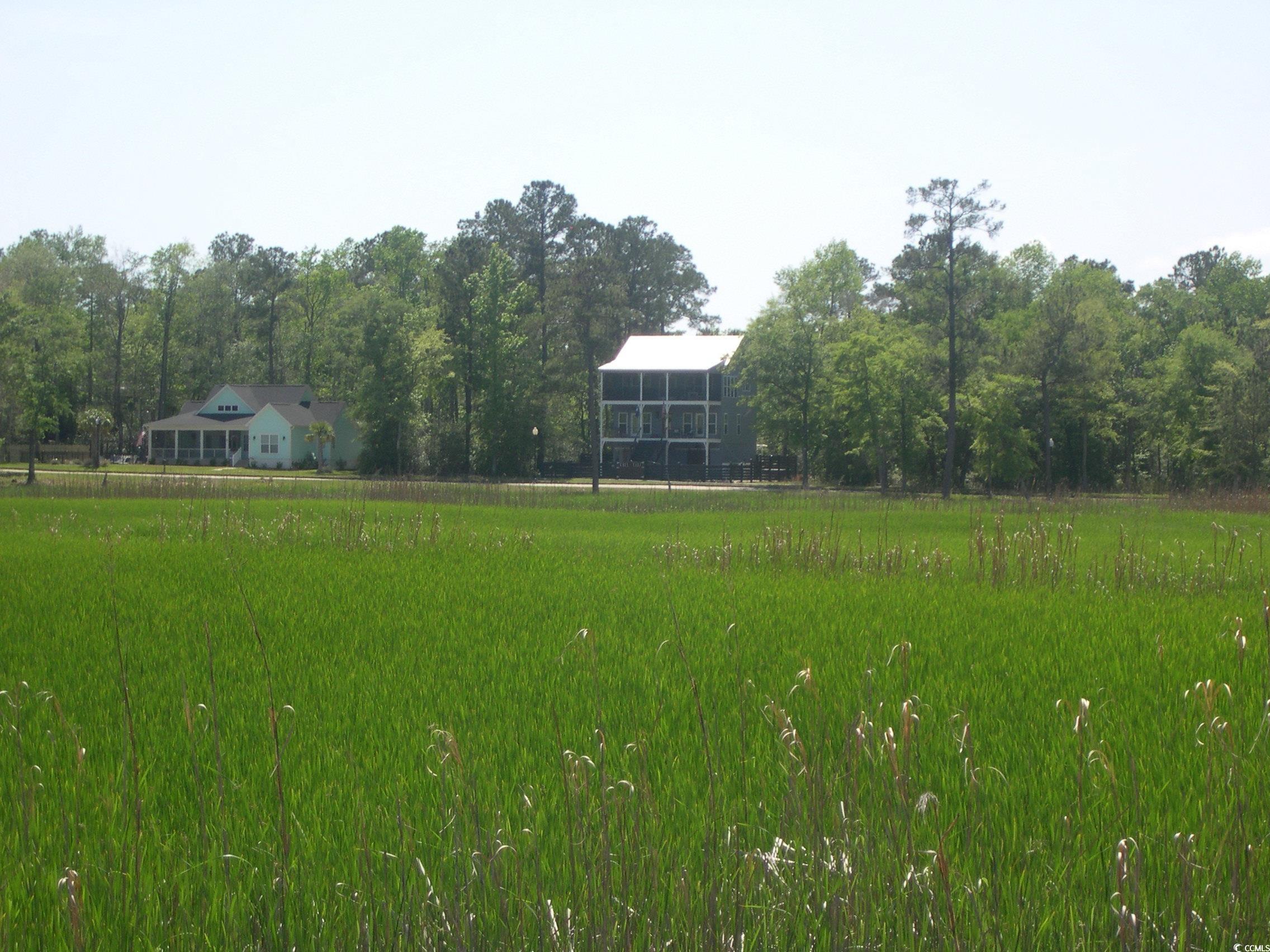 103 Pineberry Drive Georgetown, SC 29440 - Photo 19 of 21 View of yard
