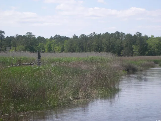 $95,000 | 103 Pineberry Drive, Georgetown, SC 29440