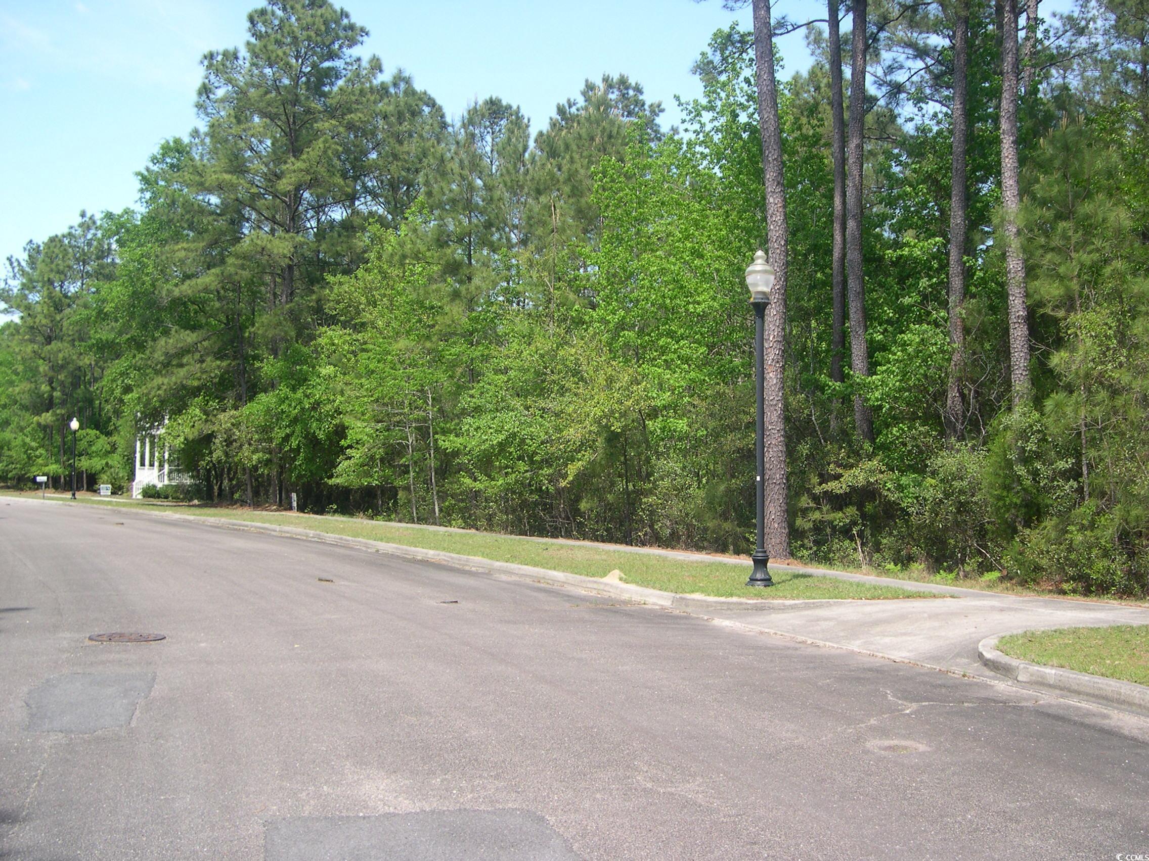 103 Pineberry Drive Georgetown, SC 29440 - Photo 3 of 21 View of road with street lighting and curbs