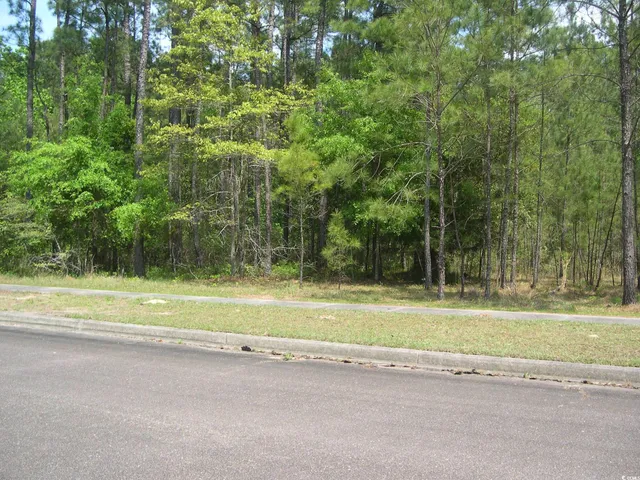 $95,000 | 103 Pineberry Drive, Georgetown, SC 29440