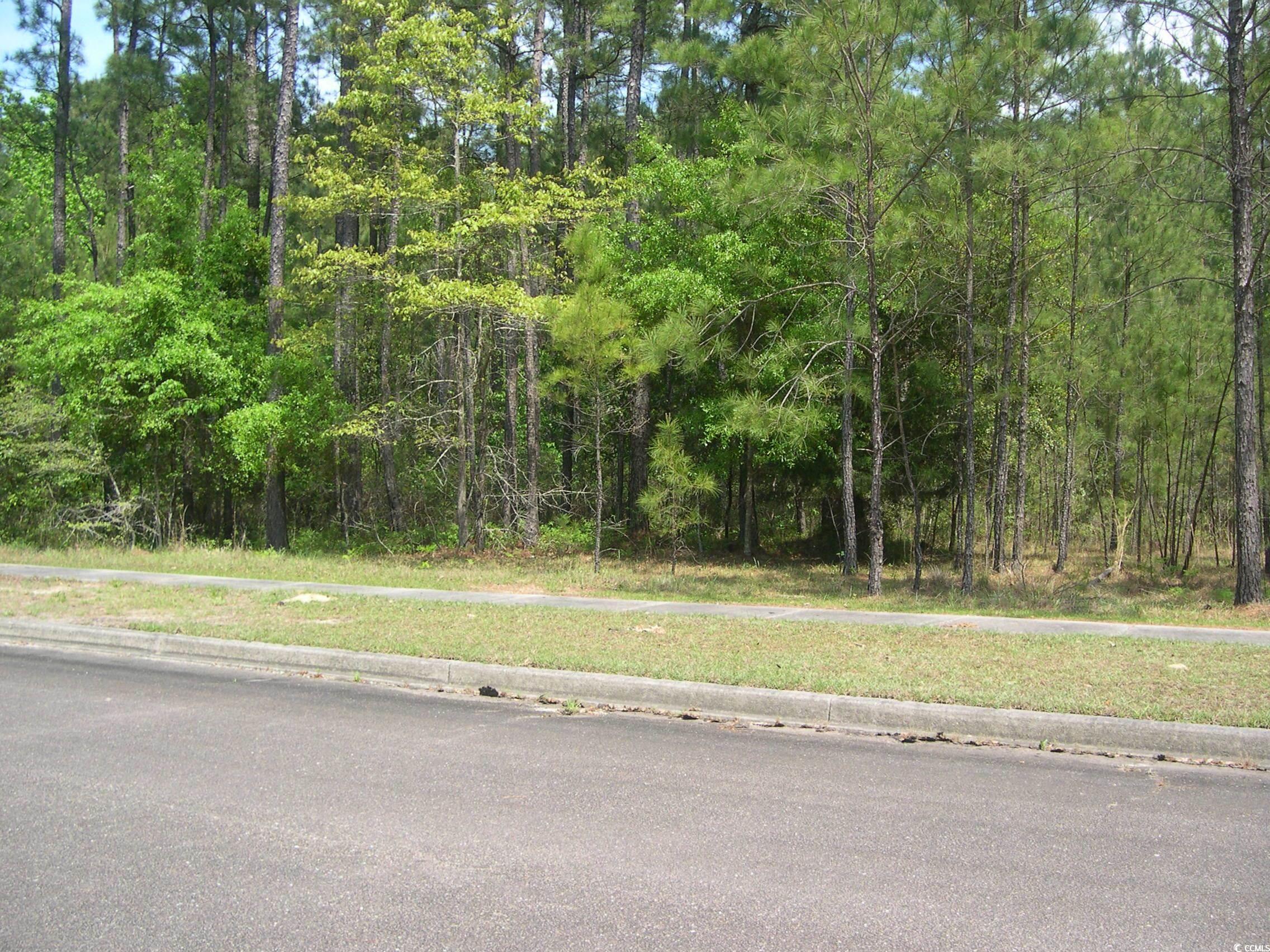 103 Pineberry Drive Georgetown, SC 29440 - Photo 4 of 21 View of street featuring a wooded view, sidewalks,