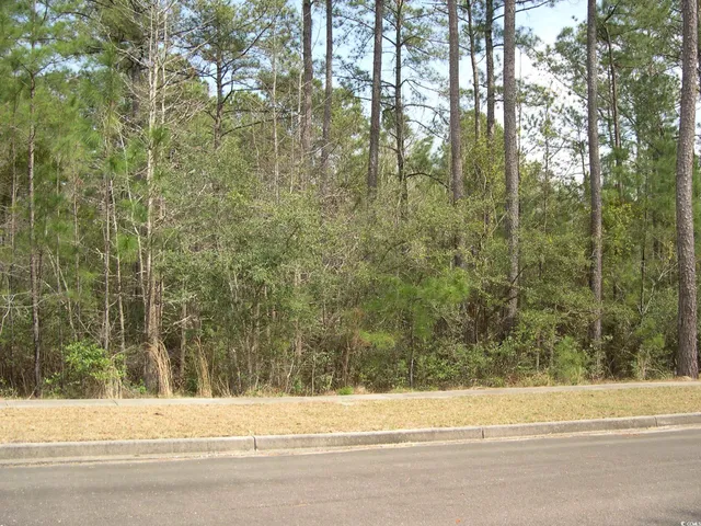 $95,000 | 103 Pineberry Drive, Georgetown, SC 29440