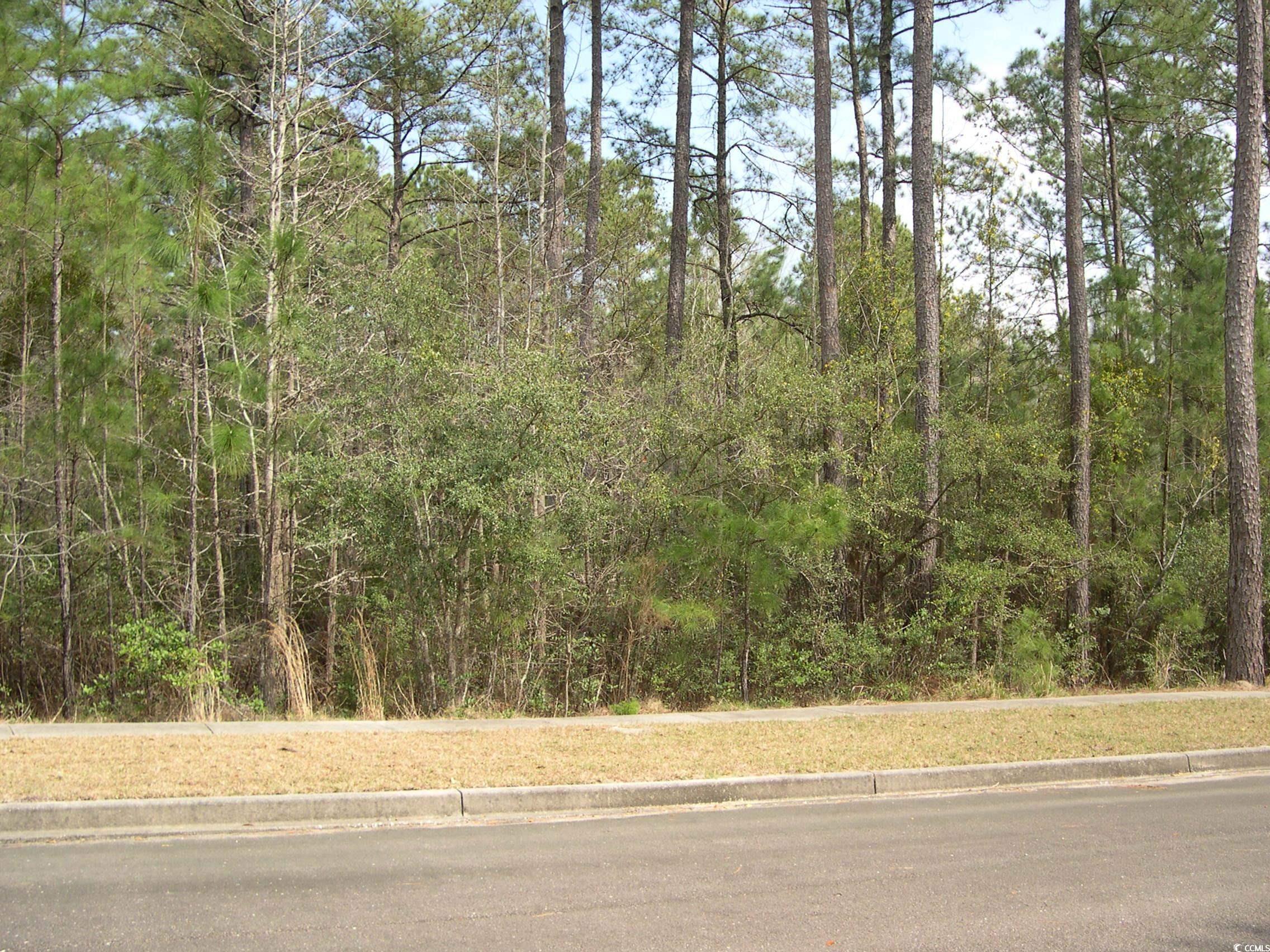 103 Pineberry Drive Georgetown, SC 29440 - Photo 5 of 21 View of road with a wooded view, sidewalks, and cu