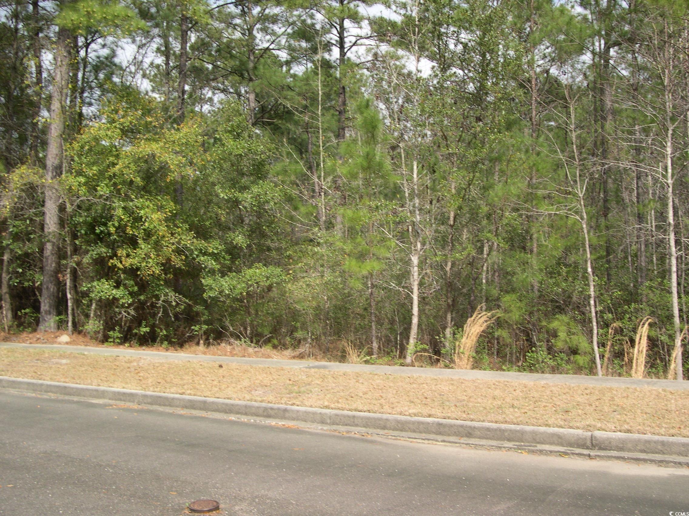 103 Pineberry Drive Georgetown, SC 29440 - Photo 6 of 21 View of road with curbs, sidewalks, and a wooded v