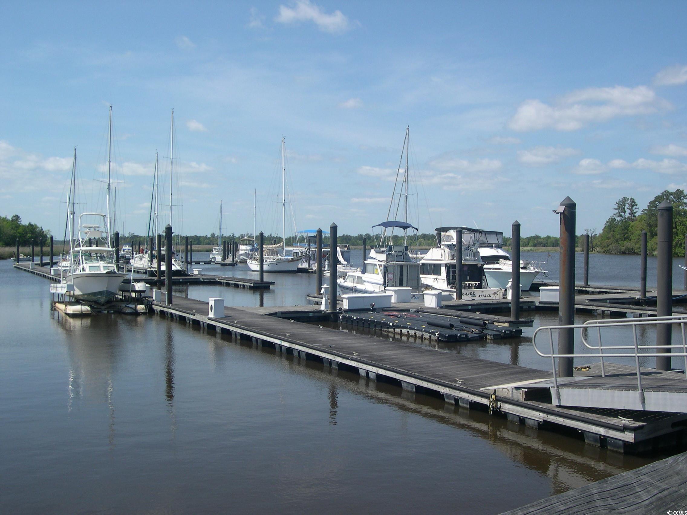 103 Pineberry Drive Georgetown, SC 29440 - Photo 8 of 21 Dock area featuring a water view