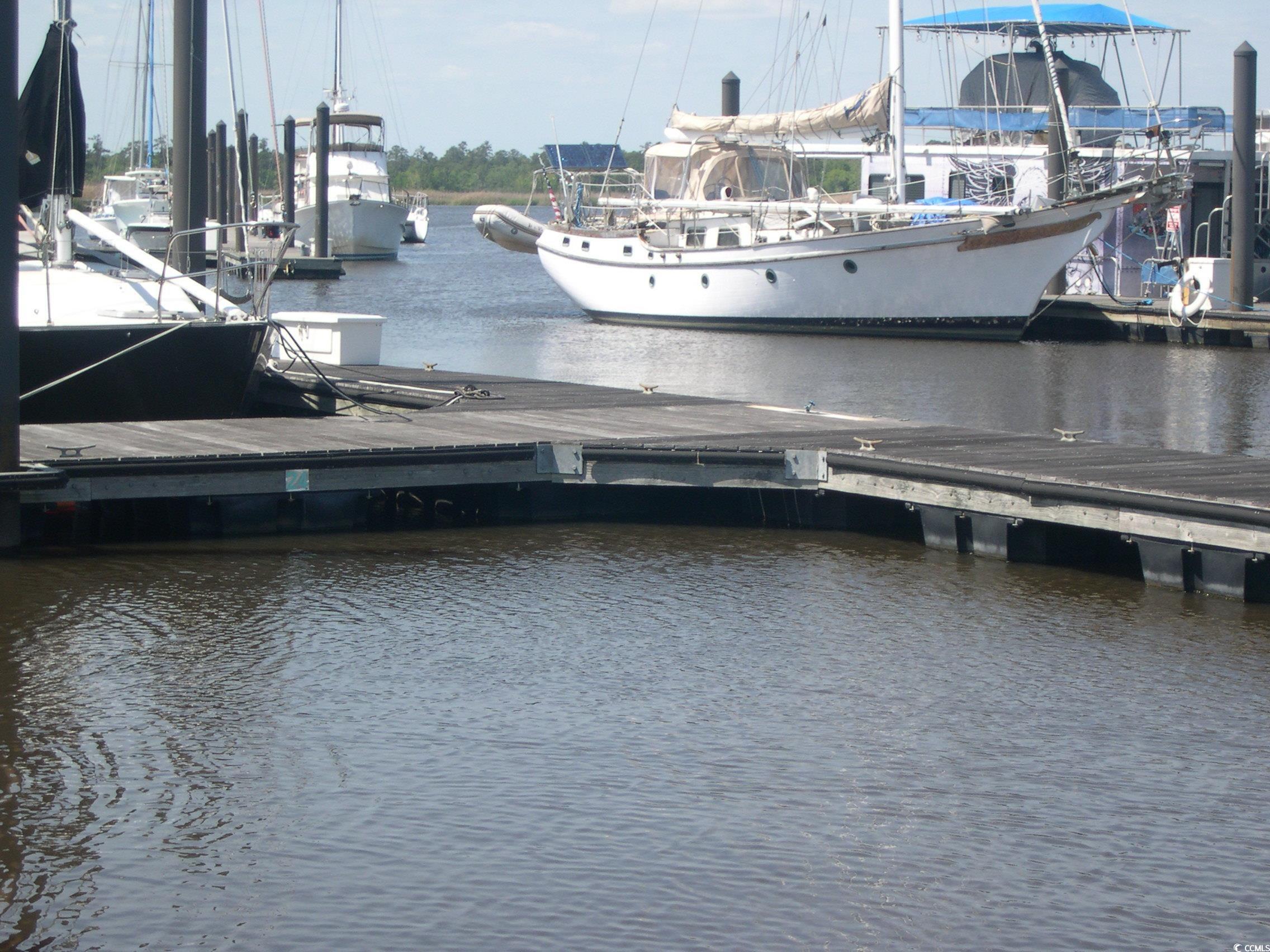 103 Pineberry Drive Georgetown, SC 29440 - Photo 9 of 21 View of dock with a water view