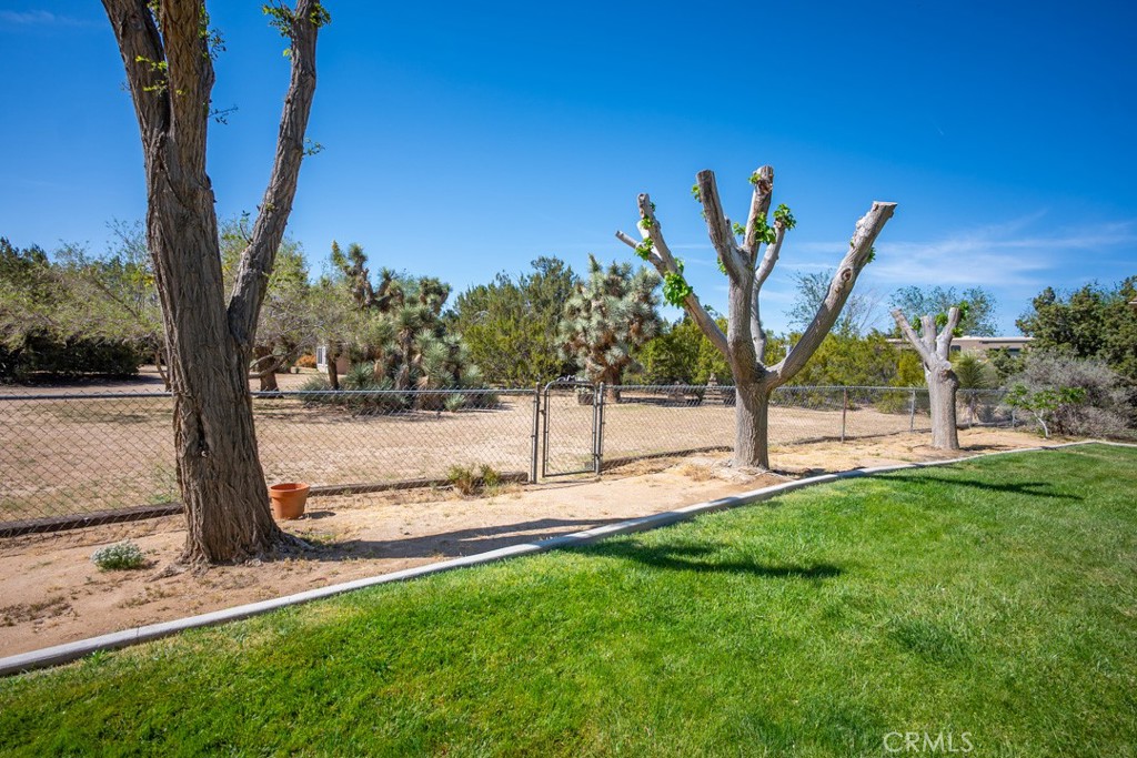 4628 West Ave K8 Quartz Hill, CA 93536 - Photo 33 of 57 a view of backyard with tree