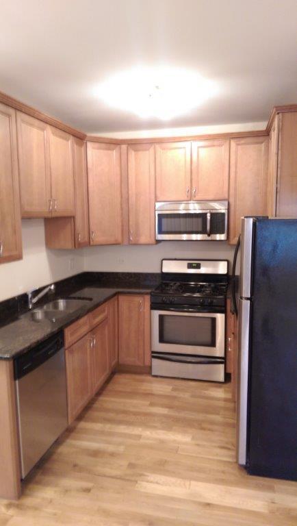 4542 West George Street, Unit 1 Chicago, IL 60641 - Photo 5 of 11