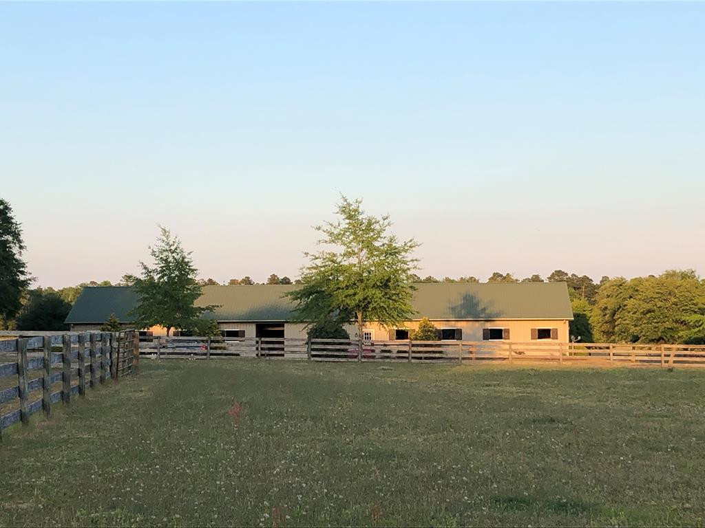 490 Big Tree Road Salley, SC 29137 - Photo 1 of 68