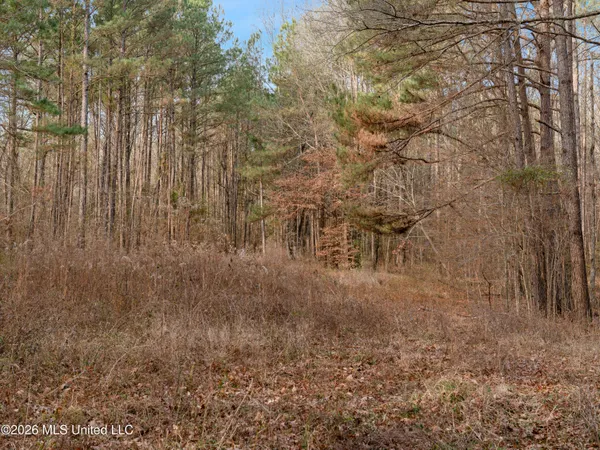 $159,600 | 0 Utah Road, Lena, MS 39094